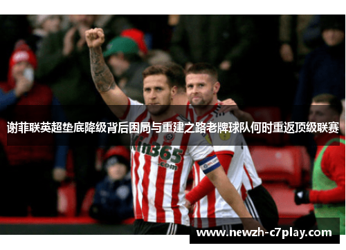 谢菲联英超垫底降级背后困局与重建之路老牌球队何时重返顶级联赛